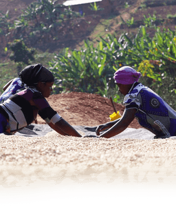 Kinini Village #23014 - thumbnail 4