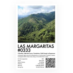 Las Margaritas #0333 - thumbnail 3