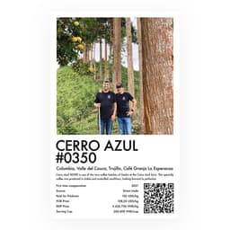 Cerro Azul #0350 - thumbnail 3