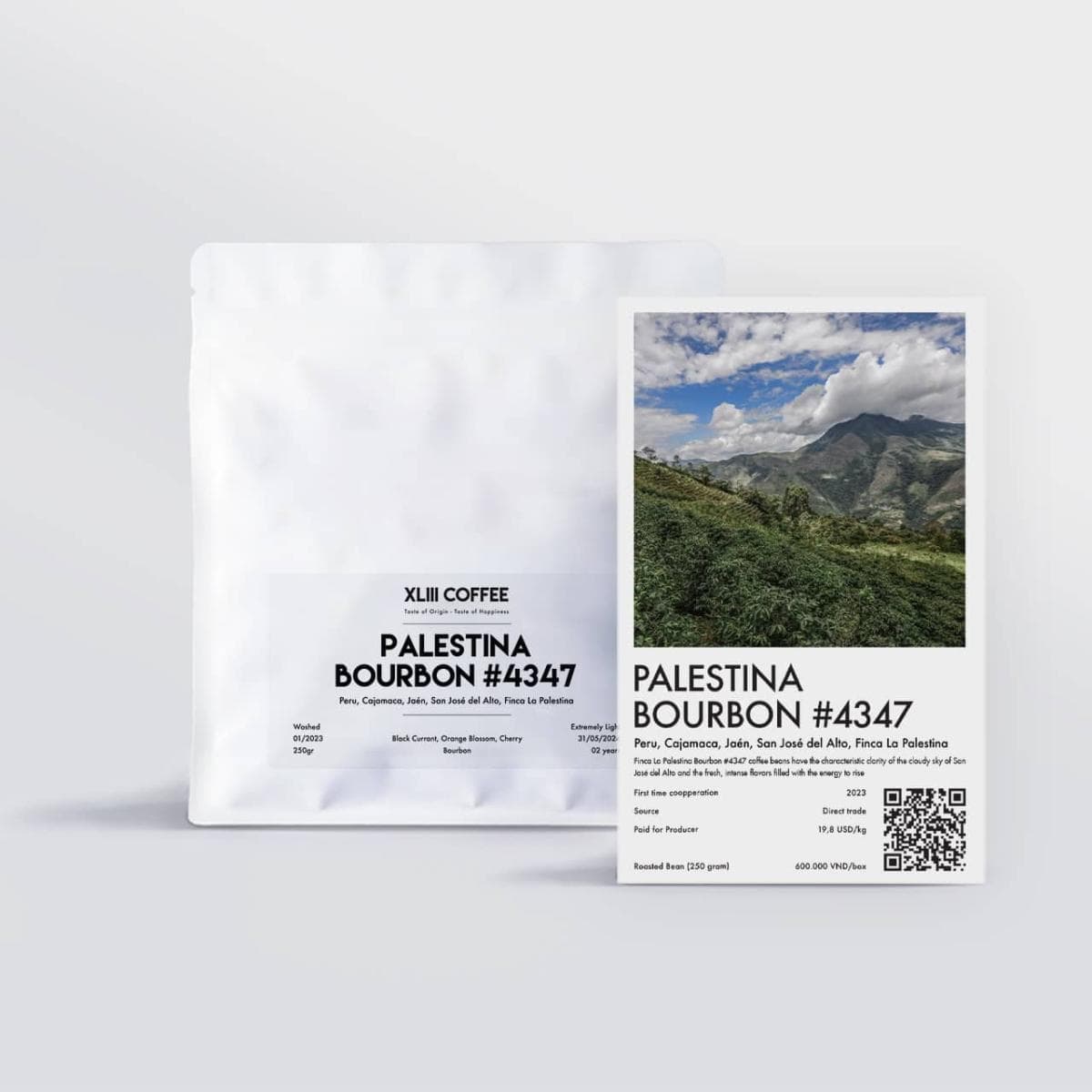Palestina Bourbon #4347