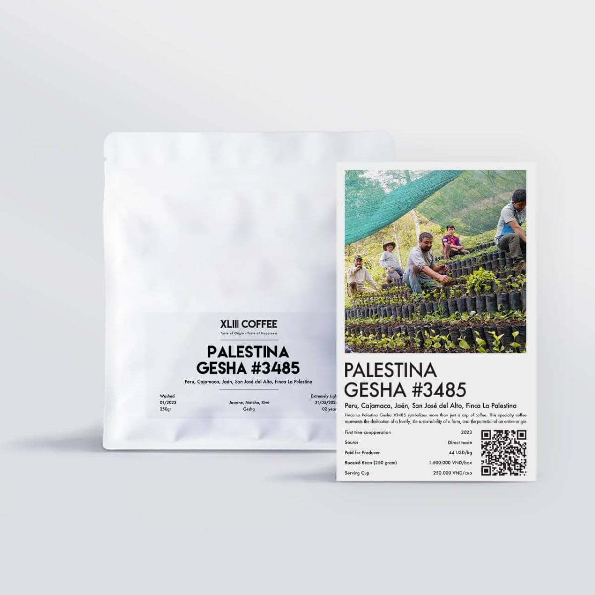 Palestina Gesha #3485