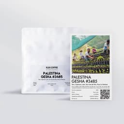 Palestina Gesha #3485 - thumbnail 1