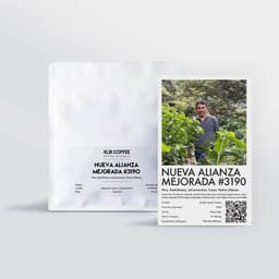 Cà phê Nueva Alianza Mejorada #3190 - thumbnail 1