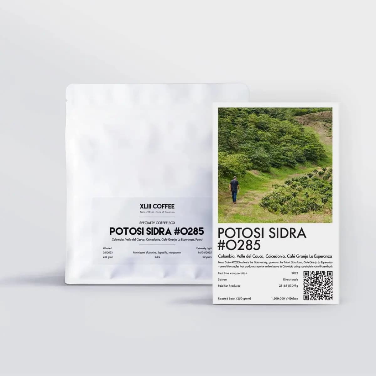 Potosi Sidra #0285