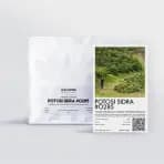 Potosi Sidra #0285 - thumbnail 3