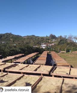 Finca La Huella Javanica - thumbnail 5