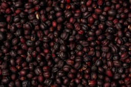 Ethiopia – Queen of Sheba – Washed - thumbnail 3