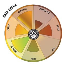 Gaia Gesha - thumbnail 2