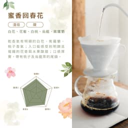 Honey-Scented Spring Blossom - Geisha Blend - thumbnail 3