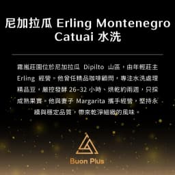 [COE Estate] Nicaragua Erling Montenegro-Las Neblinas Catuai Washed - thumbnail 2