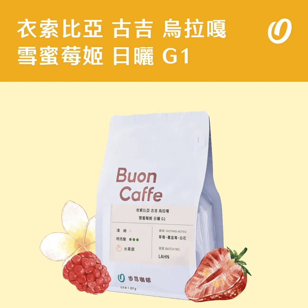 衣索比亞 古吉 烏拉嘎 雪蜜莓姬 日曬 G1