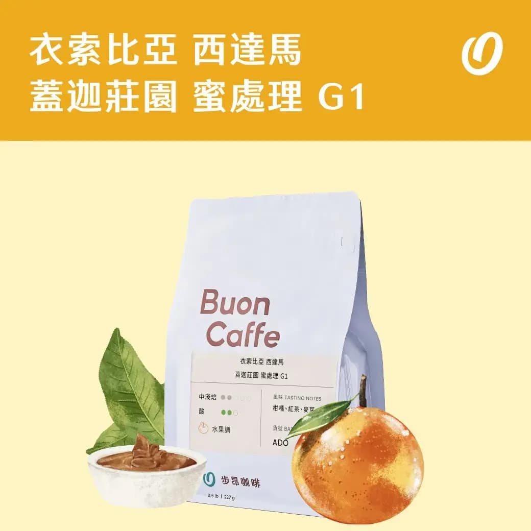衣索比亞 西達馬 班莎鎮 蓋迦莊園 蜜處理 G1