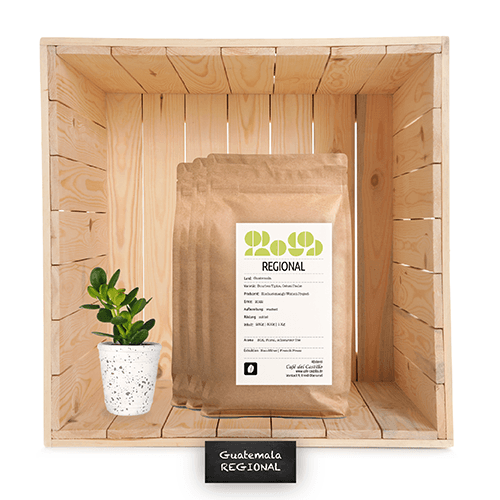 Guatemala SHB EP Huehuetenango