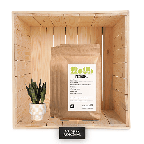 Ethiopia Sidamo Gr.2 Bensa Organic