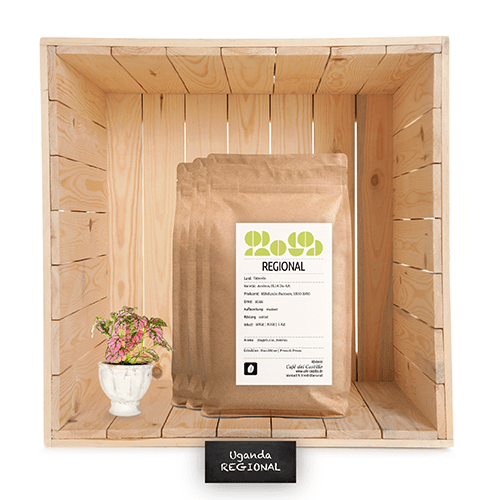 Uganda Mount Elgon Project