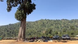 Danche - thumbnail 3