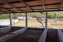 Onwards - thumbnail 3