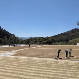 Onwards - thumbnail 2