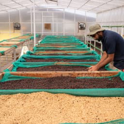 The Struggle - thumbnail 2