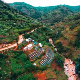 Shyira, RWANDA - Filter - thumbnail 1