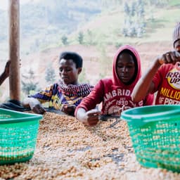 Shyira, RWANDA - Espresso - thumbnail 1