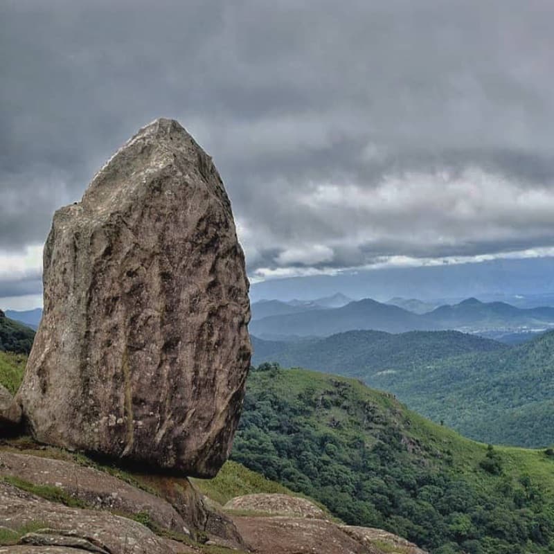 Honnametti Estate – Washed Espresso