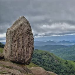 Honnametti Estate – Washed Espresso - thumbnail 1