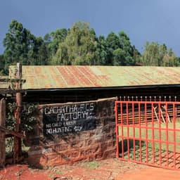 Gachatha AA Espresso KENYA - thumbnail 1