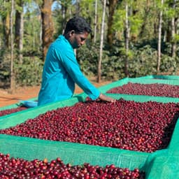 Gundikhan Natural Lot 15 & 57 - Filter - thumbnail 1