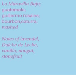 Light Blue - thumbnail 3