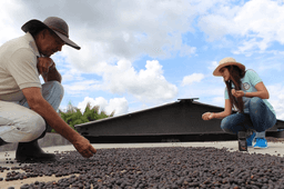 Women Coffee El Desarrollo – Frauenpower bis in den Ursprung - thumbnail 2