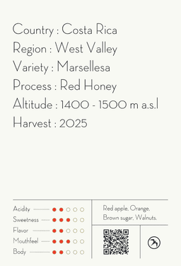 ALAN VARGAS & TOMAS GUTIERREZ / COSTA RICA - thumbnail 4