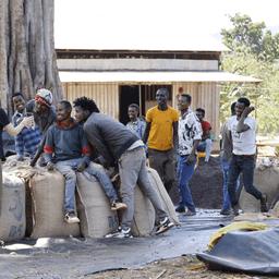 DANCHE ESPRESSO / ETHIOPIA - thumbnail 4