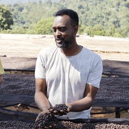 DANCHE ESPRESSO / ETHIOPIA - thumbnail 3