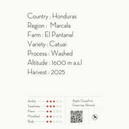 CABALLERO ESPRESSO / HONDURAS - thumbnail 2