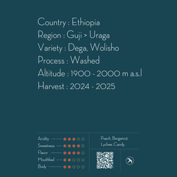 GOGUGU / ETHIOPIA - thumbnail 2