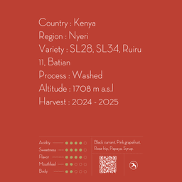 AA KAROGOTO / KENYA - thumbnail 2