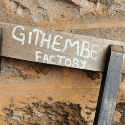 AB GITHEMBE / KENYA - thumbnail 3