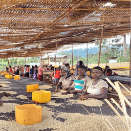 GOGUGU / ETHIOPIA - thumbnail 4