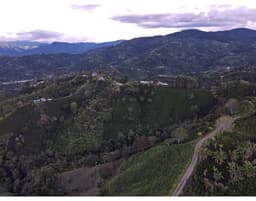 El Diviso - thumbnail 4