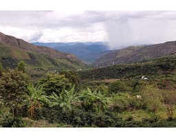 Roger Chilcon (Peru) - thumbnail 4