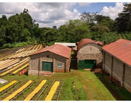 Kakindu (Kenya) - thumbnail 5