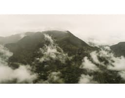 Suukala, 24/25 Crop - thumbnail 5