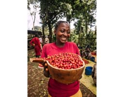 Gori Gesha (Ethiopia) - thumbnail 5
