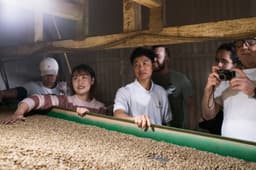 Vietnam MrToi Robusta - thumbnail 5