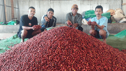Espresso Manggarai - thumbnail 5