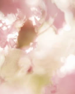 Colombia El Tablón - thumbnail 1