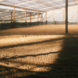 Colombia - El Diviso Bourbon Sidra - thumbnail 4