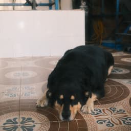 Colombia - El Diviso Bourbon Sidra - thumbnail 6