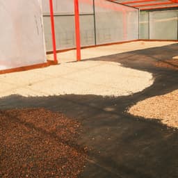 Colombia - Las Flores Red Bourbon - thumbnail 5